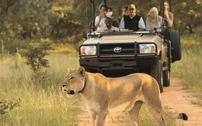 Waterberg Safari & Mauritius Waterberg Safari & Mauritius