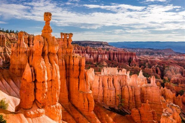 bryce_canyon_np (Medium).jpg