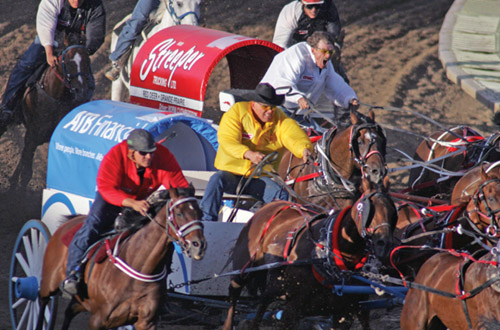 calgary-stampede.jpg