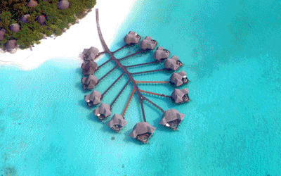 Maldives - Coco Palm Dhuni Kolhu 5* Maldives - Coco Palm Dhuni Kolhu 5*