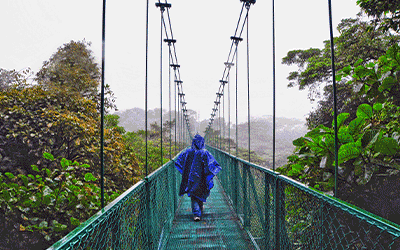 Costa Rica Tour And Stay! Costa Rica Tour And Stay!