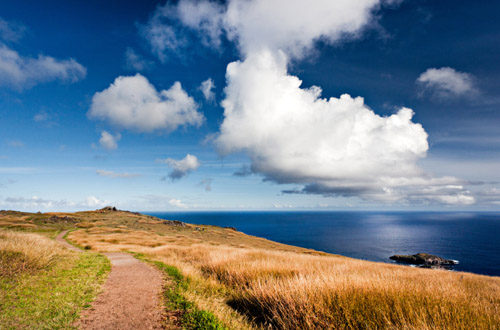 Easter Island easter-island-polynesia.jpg