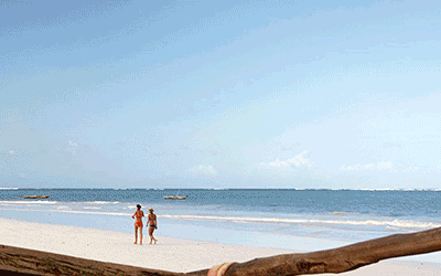 Mombasa Group Safari & Beach