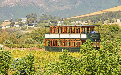 Cape Town, Winelands & Beach!