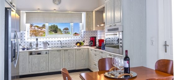 Villa Plumeria Flower kitchen.jpg