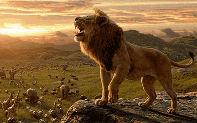 The Lion King Jungle Safari in Majestic Kenya! The Lion King Jungle Safari in Majestic Kenya!