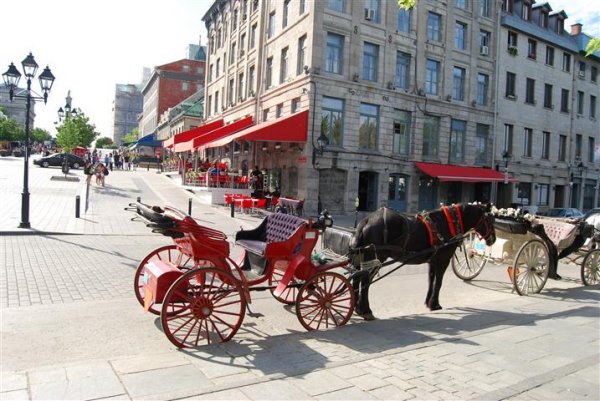 montreal-horse-carriage.jpg