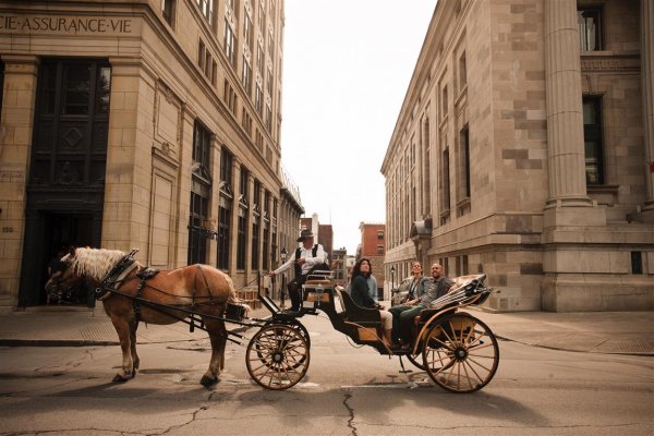 montrealhorsecarriage_web.jpg