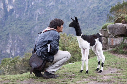 Peru peru-man-n-goat.jpg