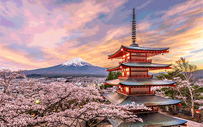 Tokyo Discovery Deal Tokyo Discovery Deal
