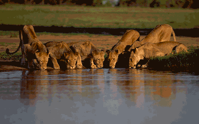 Cape Town - Winelands - Victoria Falls - Kruger Safari Cape Town - Winelands - Victoria Falls - Kruger Safari