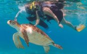Adults-Only-All-Inclusive-Barbados-1-_pk35329_1.jpg
