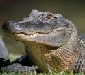 Australia's-Wine-Wildlife-Journey_pk35520_1.jpg