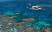 Australia1_pk33224_1.gif