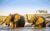 CHOBE-VICTORIA-FALLS-_pk29284_1.gif