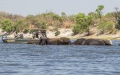 Chobe-Victoria-Falls-Safari_pk35460_1.jpg