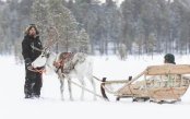 Christmas-Majic-in-Lapland_pk35542_1.jpg
