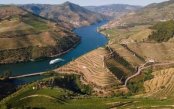 Douro-Discovery_pk35212_1.jpg