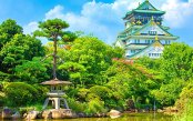 Japan's-Cherry-Blossoms-Hot-Springs_pk33907_1.jpg