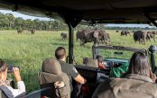 KENYA-LUXURY-SAFARI_pk29452_1.gif