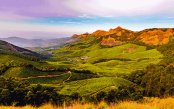 Kerala_pk29724_1.gif