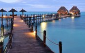 Melia-Zanzibar_pk28713_1.gif
