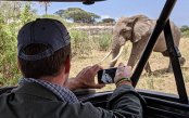 Ngorongoro_pk29295_1.gif