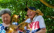 Okinawa_pk32996_1.gif
