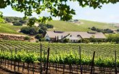 Pacific-Wine-Country-Lights-of-Las-Vegas_pk35168_1.jpg