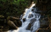 Phuket-2_pk29650_1.gif