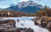 Rockies_pk33583_1.gif