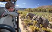 Self-Drive-Winelands_pk29606_1.gif