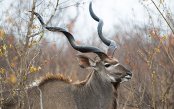 South-Africa-Highlights-Tour2_pk28038_1.gif