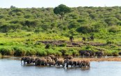 South-Africa-Rovos-African-Collage-Tour-cb_pk35225_1.jpg