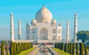 Splendour_pk33552_1.gif