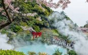 Spring-in-the-Rising-Sun-Cherry-Blossoms-The-Majesty-of-Mt-Fuji_pk35176_1.jpg