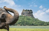 Srilanka1_pk30293_1.gif