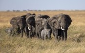 Tanzania-Camping-Safari-Zanzibar-33883-_pk33883_1.jpg
