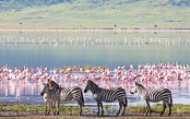 Tanzania-Safari-Zanzibar-Beach_pk25291_1.gif