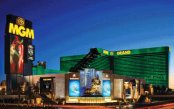 VEGAS_pk30454_1.gif