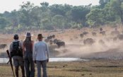 Victoria-Falls-Hwange-Matopos-Safari_pk35294_1.jpg