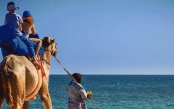 Watamu_pk32981_1.gif