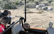 Winelands_pk32958_1.gif