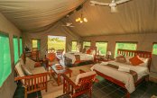Zimbabwe-Explorer-Safari_pk29286_1.gif