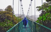 costa_pk30179_1.gif