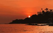 goa1_pk29719_1.gif