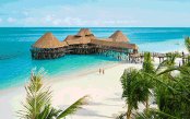 nstanbul-Turkey-Zanzibar-1-_pk33490_1.gif