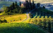 tuscany-food-and-wine-experience_pk35678_1.jpg